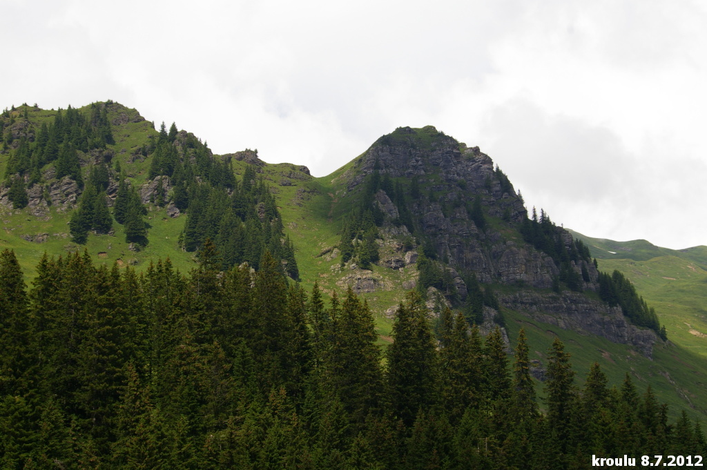 IMGP5124