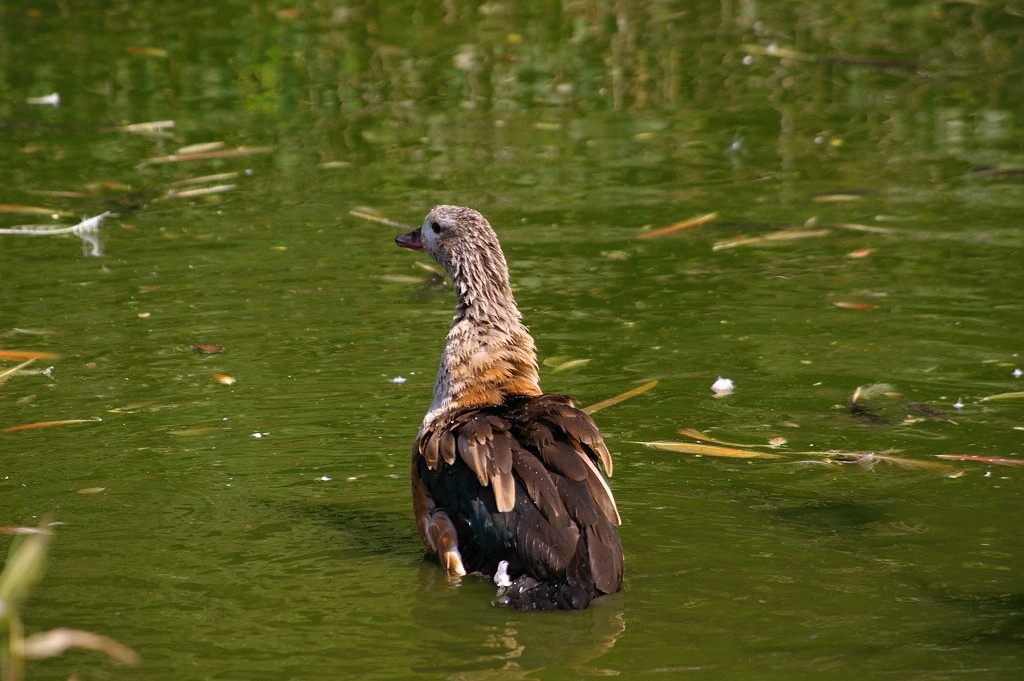 IMGP5644